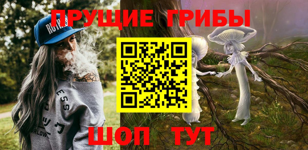 Псилоцибиновые грибы Psilocybine cubensis  Вход с VPN  Воронеж 