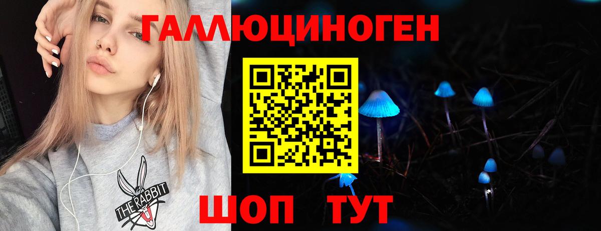 Псилоцибиновые грибы GOLDEN TEACHER Воронеж